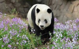 中国地图全图在哪里?中国地图各省位置明细