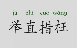 直字成语有什么？一天一个成语：举直错枉