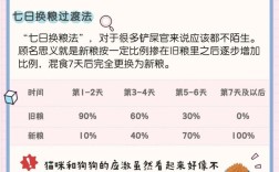 德文猫换粮呕吐怎么办？解决方法和预防措施？