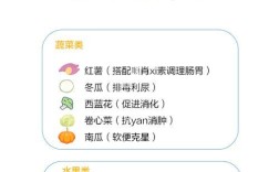 雪纳瑞犬的饮食量如何控制？6个月大需要多少食物？