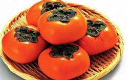 柿子不能和什么食物一起吃
