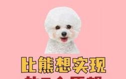 小比熊狗能不能吃排骨的骨头？排骨的骨头对小比熊狗有什么影响？