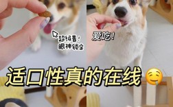 老年犬狗粮对幼犬有害吗？幼犬误食会有生命危险吗？