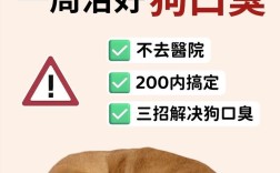 三个半月比熊可以吃鸡蛋黄吗？有何影响？