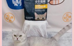 猫咪益生菌搭配猫粮的效果如何？