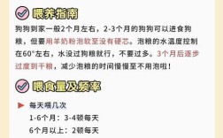 一个月大的小比熊应该喂多少狗粮？小比熊的喂养量如何控制？