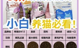 代卖猫粮如何起步？需要哪些步骤和注意事项？