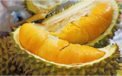 吃榴莲的7大禁忌，爱吃榴莲的人注意了