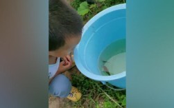 如何掌握钓鱼之星的操作技巧？常见问题有哪些解决方法？