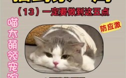 帮朋友养猫几天怎么不吃猫粮？如何解决猫咪拒食猫粮的问题？